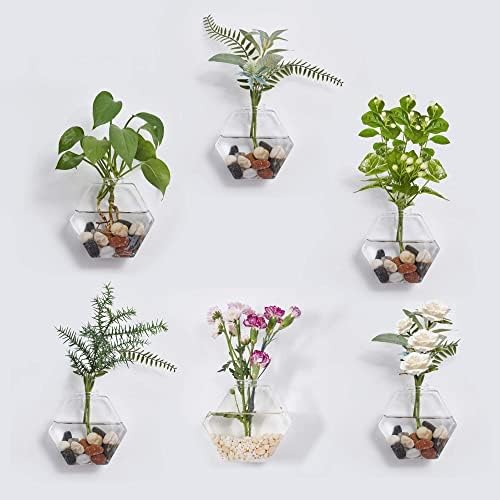 BlogBlog Cam duvar Yetiştiricilerinin 6 Pcsterrarium Asılı Hava Bitki Sahipleri Konteynerler için Hidroponik Bitkiler,