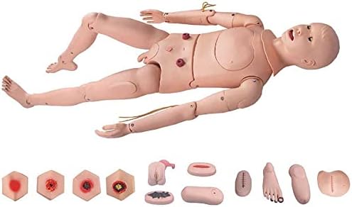 ZQHJ Yaşam Boyutu Hasta Bakımı Mankeni Değiştirilebilir Genital ve Bedsore Modülleri Eğitim CPR Simülatörü Tıbbi Hemşirelik