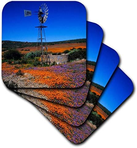 3dRose CST_208389_1 Yel Değirmeni ve Çiçekler, Namaqualand, Kuzey Burnu, Güney Afrika. Yumuşak Bardak Altlığı, (4'lü